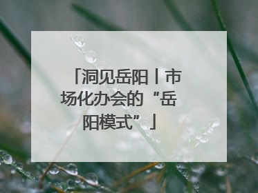 洞见岳阳丨市场化办会的“岳阳模式”